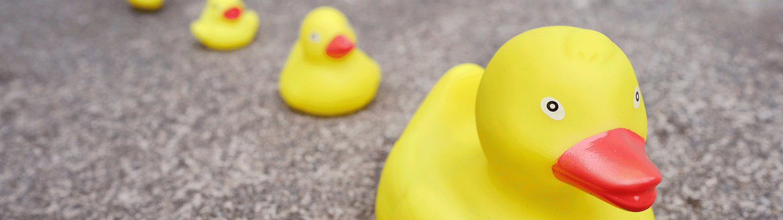 DucksInARow Networking