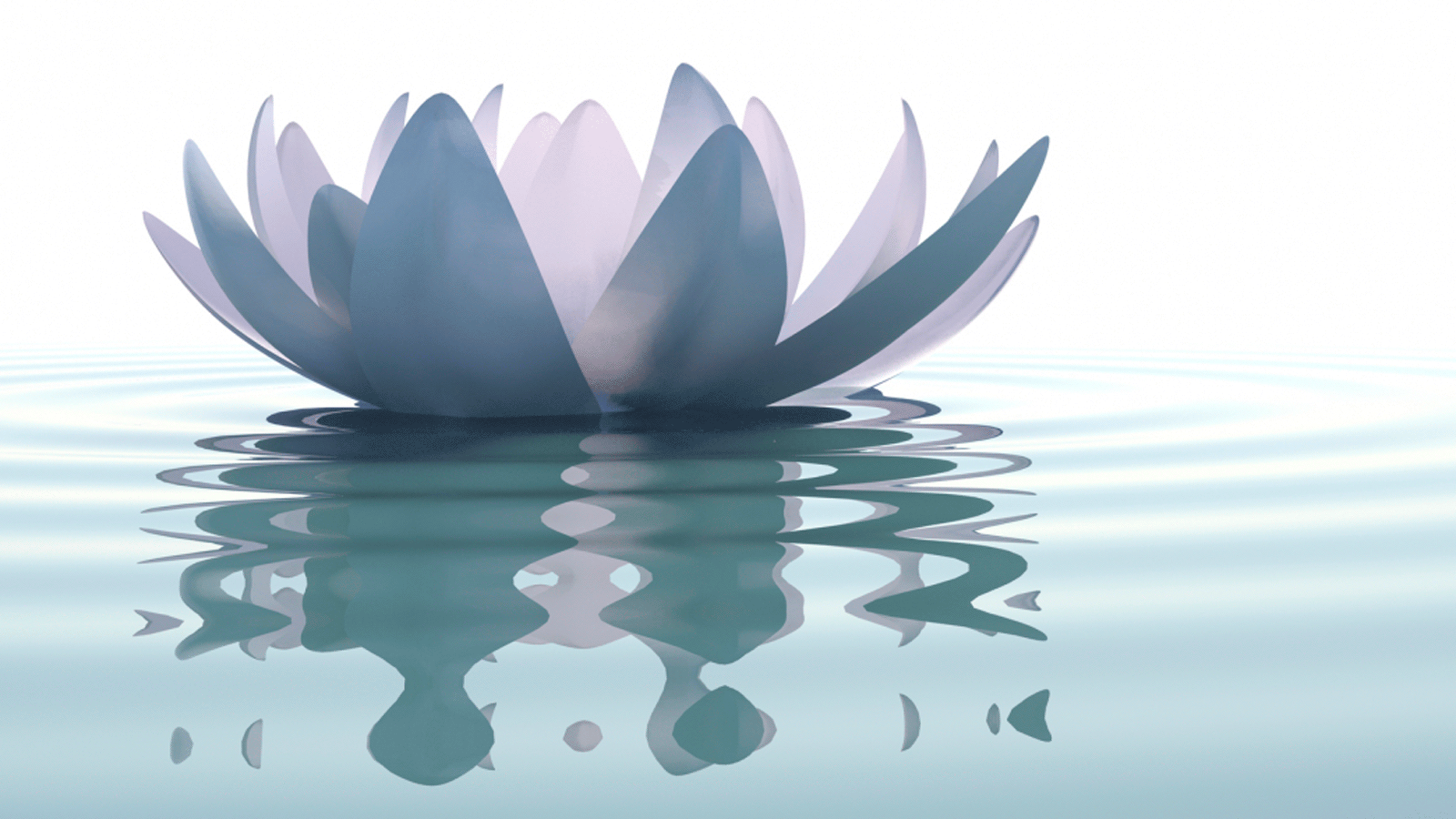 Lotus luck
