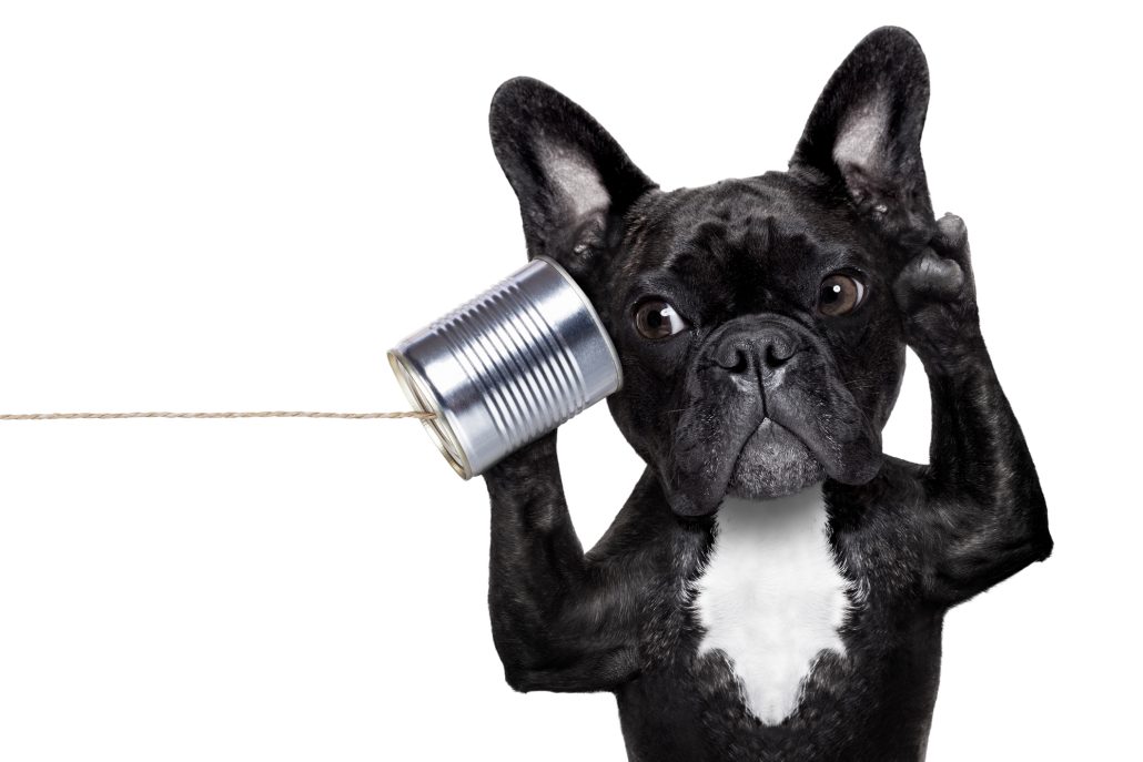 A dog is holding a tin can and talking on the phone.